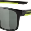 Alpina Flexxy Cool Kids I – Kid’s Sunglasses